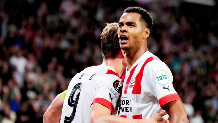 面对新西兰 面对新西兰