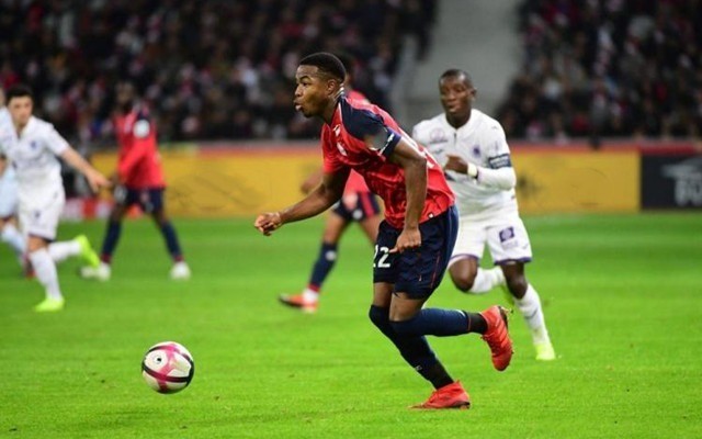 的非凡潜力 的非凡潜力