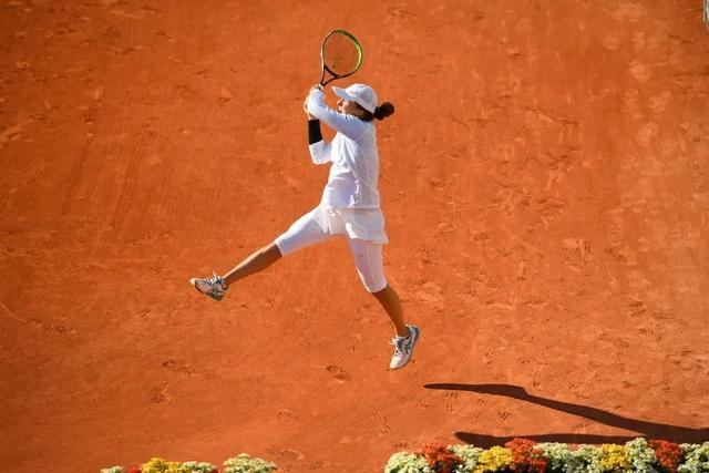 球界的焦点 球界的焦点